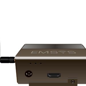 EMSYS Mini Gateway (SRV-1100)